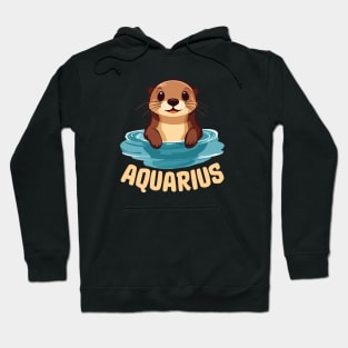 Cute Aquarius Zodiac Sign Hoodie